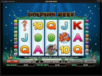 play Dolphin Reef play Dolphin Reef